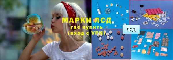ПСИЛОЦИБИНОВЫЕ ГРИБЫ Алзамай