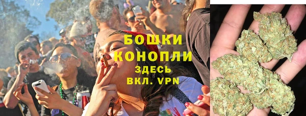 ПСИЛОЦИБИНОВЫЕ ГРИБЫ Алзамай
